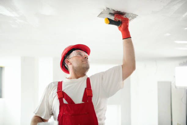 Professional Drywall & Painting Services in Southchase, FL